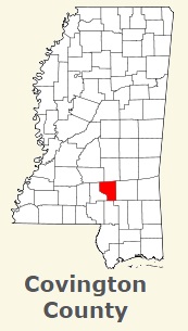 An image of Covington County, MS