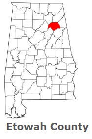 An image of Etowah County, AL