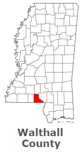 An image of Walthall County, MS