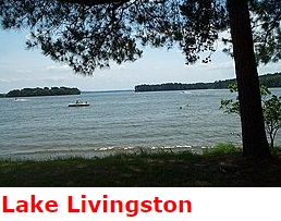Lake Livingston photo