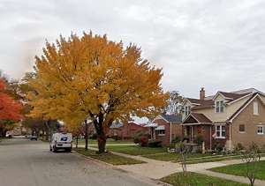 An image of North Riverside, IL