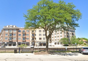 Map of Palatine, Illinois as of November 2024. Streets, landmarks and