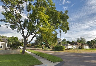 An image of Palm Harbor, FL