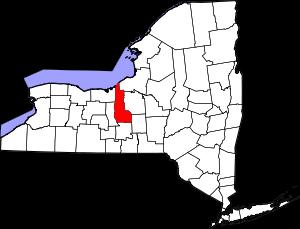 An image of Cayuga County, NY