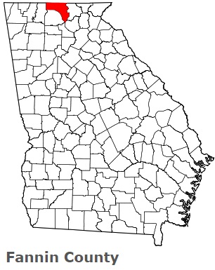 An image of Fannin County, GA