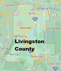An image of Livingston County, NY
