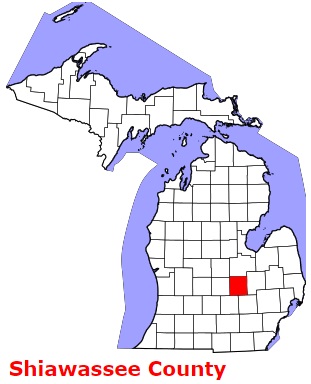 Shiawassee County Satellite Map 2024