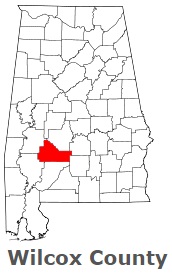 An image of Wilcox County, AL