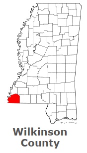 An image of Wilkinson County, MS