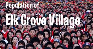 Population of Elk Grove Village, IL