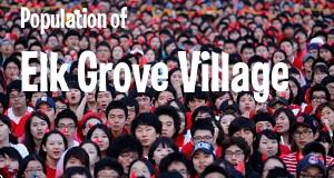 Population of Elk Grove Village, IL