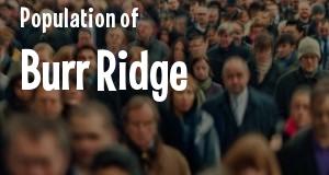 Population of Burr Ridge, IL