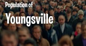 Population of Youngsville, LA