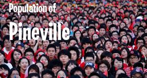 Population of Pineville, LA