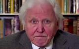 David Attenborough warns the human race about the climate change