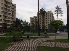 Bucha photo