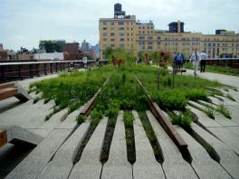 High Line Park photo