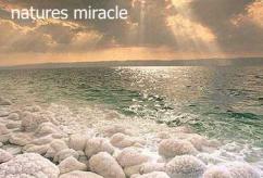 The Dead Sea photo