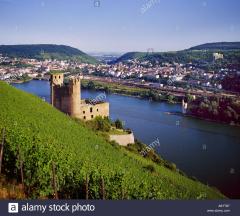 The Rhine photo
